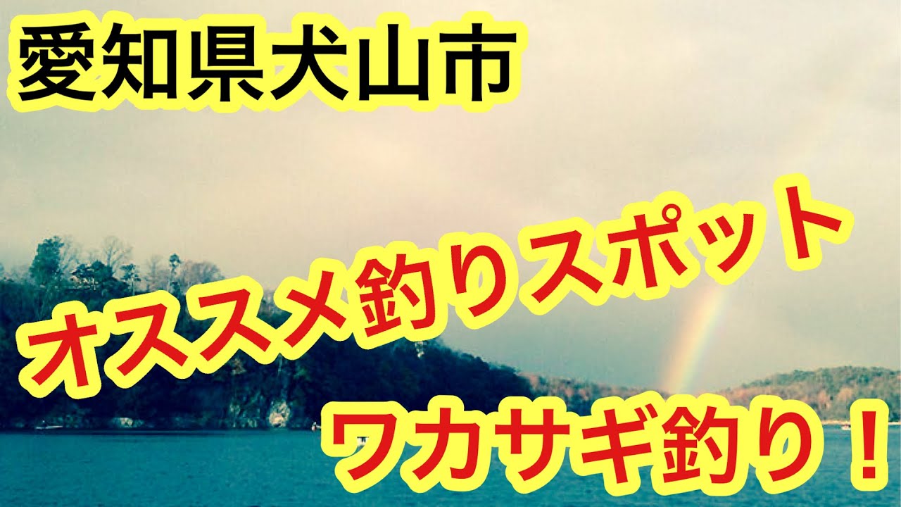 愛知県釣り オススメ ワカサギ釣り 犬山市入鹿池 Youtube