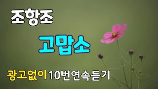 고맙소/조항조 노래 10번연속듣기