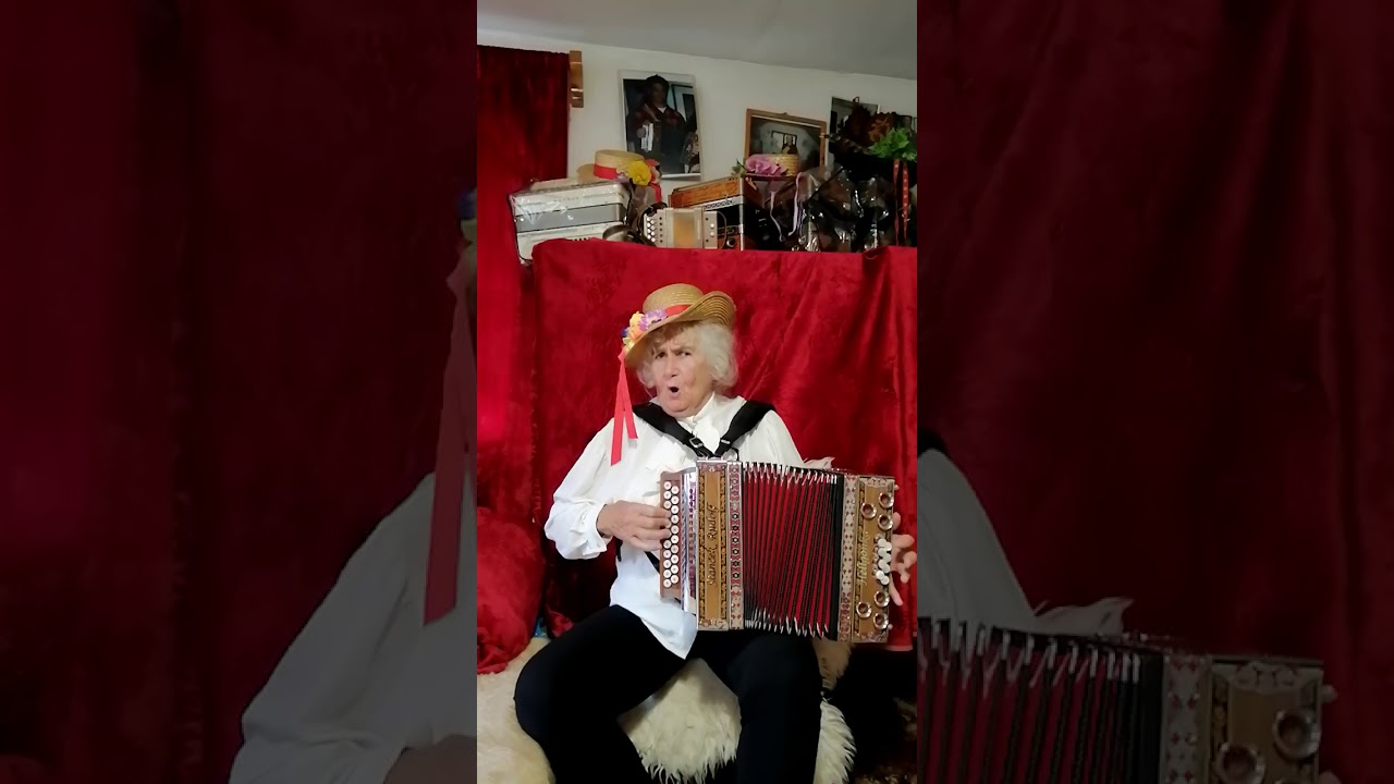 letěli dva houbi - česká lidovka - czech folk - heligonka