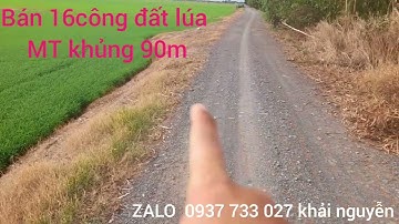 T740.bán 16công đất lúa.MT khủng 90m.đường xe tải chạy vi vu.view kênh.Xã Tuyên Bình.Vĩnh Hưng LA 👍💖