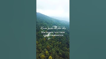 ﴿وَلَقَدْ نَعْلَمُ أَنَّكَ يَضِيقُ صَدْرُكَ بِمَا يَقُولُونَ﴾ سورة الحجر آيات 97,98,99