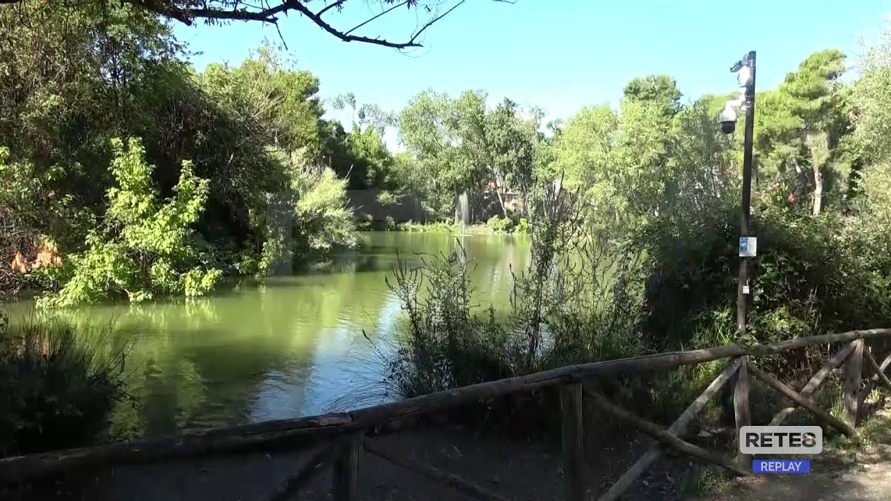 Pescara - Il comitato Pineta scrive a Masci