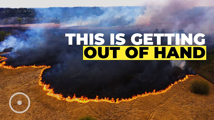 How Global Warming Is Affecting Our Ecosystem