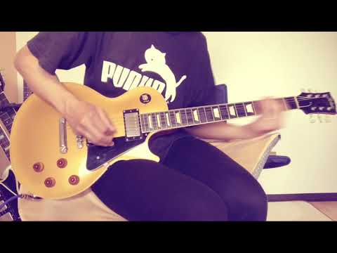 ｢ 毛皮のコートのブルース  /THE YELLOW MONKEY｣ギターで弾いてみました(コピーです)猫一