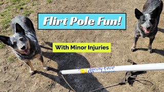 Flirt Pole Fun With Minor Injuries!