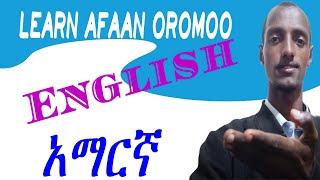 Talk About Weather: Afaan Oromoo, English & Amharic Phrases screenshot 5