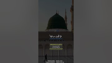 خواتيم سورة البقرة بصوت القارئ طارق محمد
