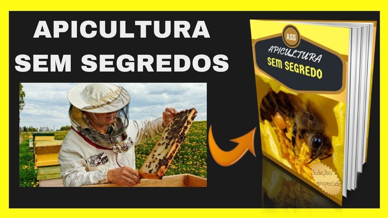 Apicultura Sem Segredos