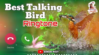 Best Talking Birds Ringtone || Rington || New Ringtone 2022 || Ringtone || Safia Baloch || Sindh Way screenshot 5