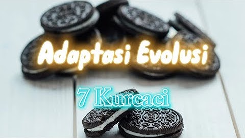 7 Kurcaci - Adaptasi Evolusi (lirik)