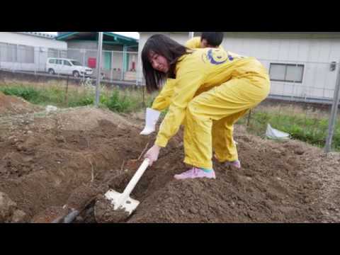 平成30年度おおい町地域おこし協力隊活動報告動画『こども家族館　渡邊　隊員編』