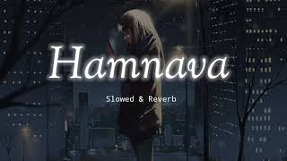 Hamnava - Slowed & Reverb - Angaraag Mahanta (Papon)