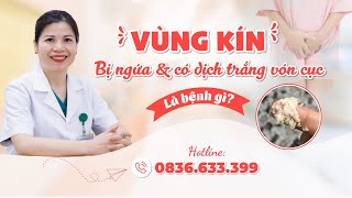Bị Ngứa Vùng Kín Và Ra Dịch Trắng Vón Cục Là Bị Bệnh Gì?