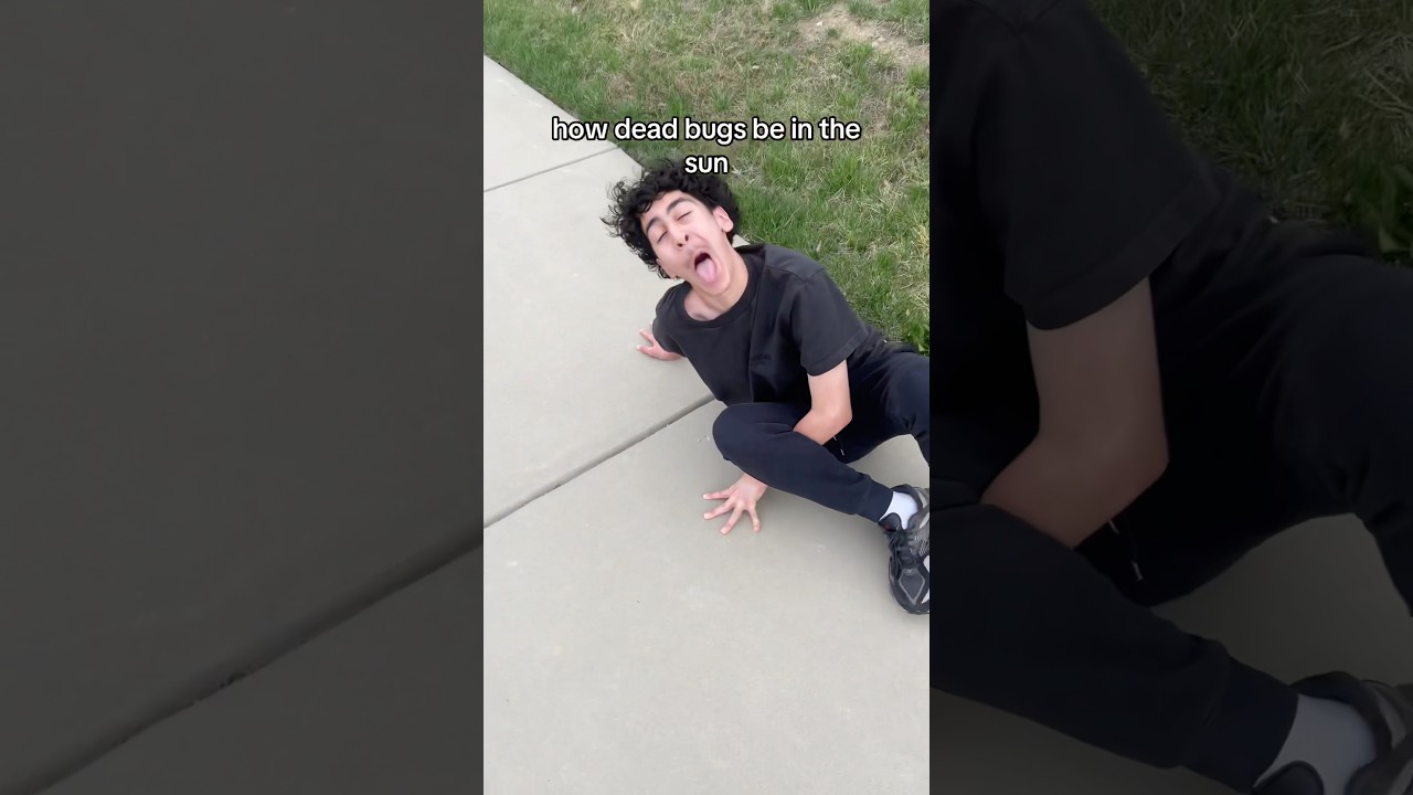 dead bugs in the sun be like