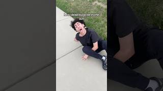 dead bugs in the sun be like Profile