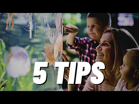 5 Tips on how to keep a better aquarium.