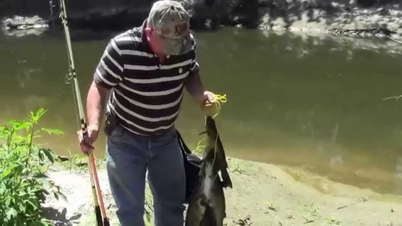 Catfish Creek Fishing YouTube
