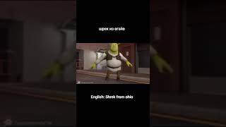 Shrek from Ohio #рек #мем #shorts #shrek #ohio