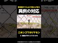 【ニホンゴワカリマセン】バンチ君のサル山に外国人が侵入…挑発する男に警察が実行した異例の対応とは？ 千葉 #shorts