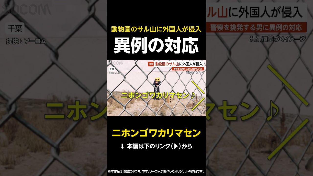 【ニホンゴワカリマセン】バンチ君のサル山に外国人が侵入…挑発する男に警察が実行した異例の対応とは？ 千葉 #shorts