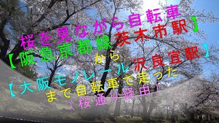 桜を見ながら自転車【阪急茨木市駅から大阪モノレール沢良宜駅まで自転車で走った（桜通り経由）】