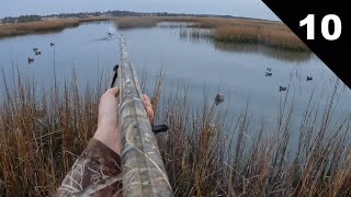 NC Diver Hunt in the Salt Marsh #duckseason #duckhunting