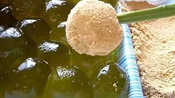 Anime Foods Oishinbo Vlog Youtube Anime Foods Oishinbo Vlog Youtube