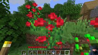 Minecraft java Edition 26.1.1/26.1.2 part 3