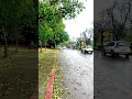 Mumkin nai hai tujh ko bholana #arijitsingh #hindi #weather #nature #rain #rainyday #rainsounds