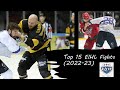 Top 15 eihl fights 202223