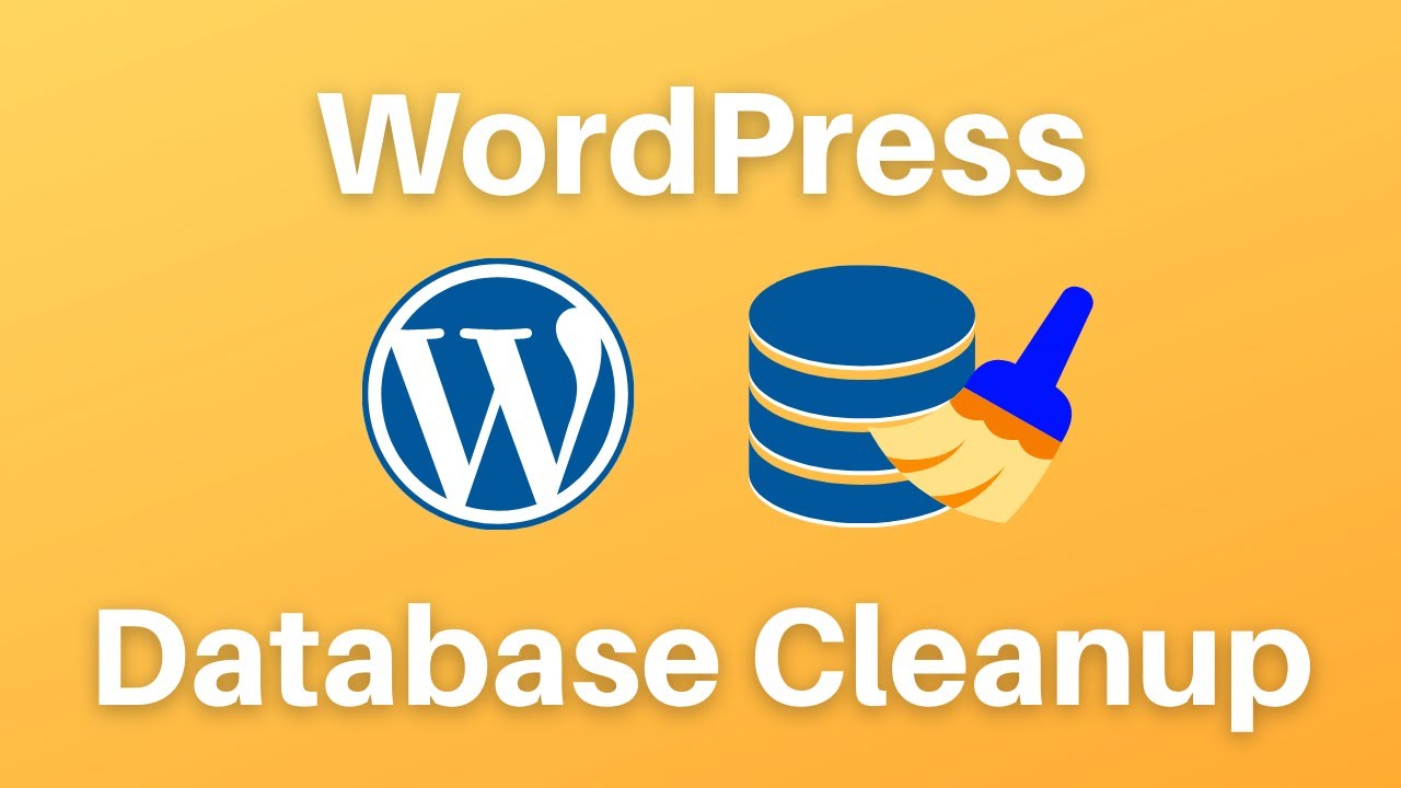 New Update How to Clean and Optimize your WordPress Database (with Perfmatters Plugin)