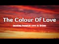 Smashing Pumpkins - The Colour of Love (Lyrics/Vietsub) cover by Helions