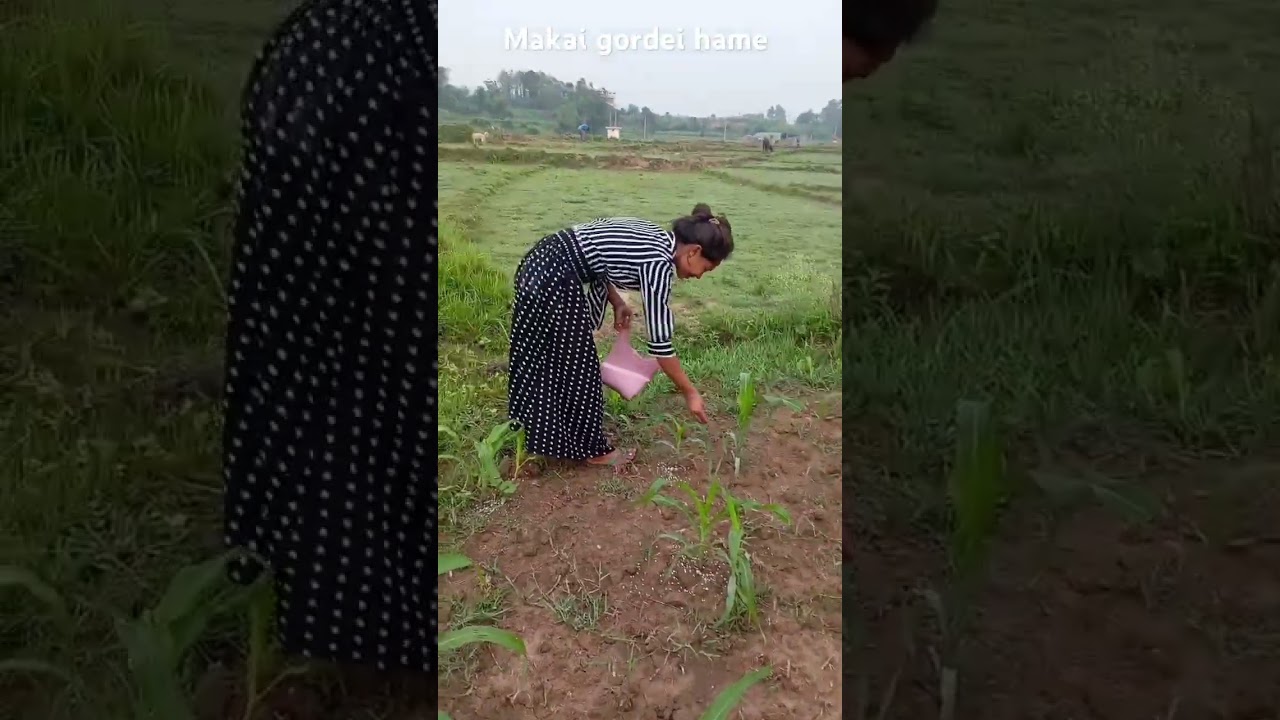 makai gordae ma rr Budi 🫀🩷