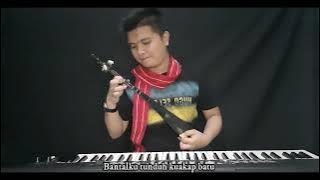 LAGU KARO COVER KULCAPI EMAS SERTALI