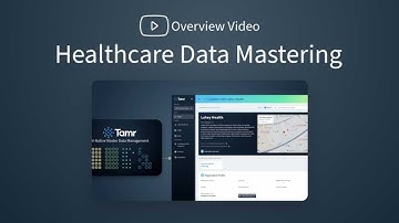 Healthcare Data Mastering Overview