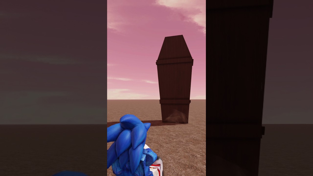 look whom sonic has summand 😱