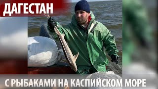 Ловят сазана, а попадается осетр! С промысловиками на Каспийском море! Тушиловка, Дагестан.