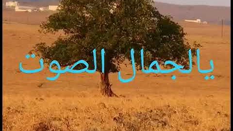 سوره الانفطار بصوت جميل