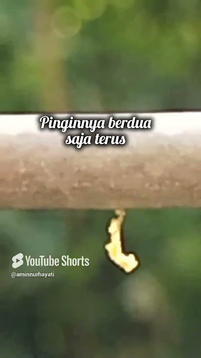 selingkuh itu sakitnya luar biasa @Dakwah-e2t