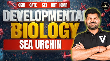 Complete Lecture Series | Developmental Biology | Sea Urchin Early Development | Dr. Sanjay Yadav |