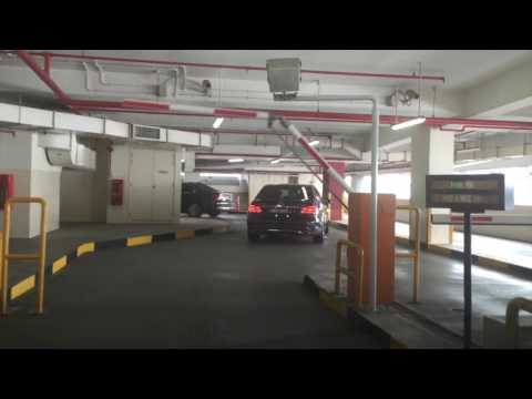 john-teng-is-shocked-at-how-expensive-cars-are-in-singapore!