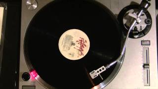 Los Lobos - Shakin&#39; Shakin&#39; Shakes (Vinyl Cut)