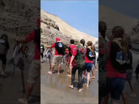 Esto pasa cuando caminas cerca a la playa