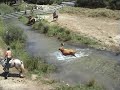 Encierro 2018 en Tramacastilla (Teruel)