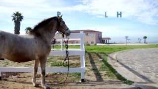 Pacific Life Teen Program Campus Tour