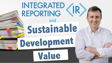 Integrated Reporting: What it Means for Business & Sustainable Development w/ Cornis van der Lugt