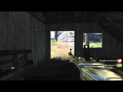 Call of Duty Modern Warfare Unlock All Guns, Level 55 hack (READ DESCRIPTION)