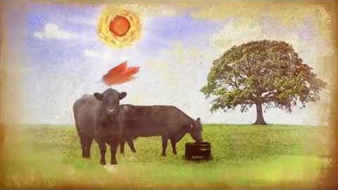 CRYSTALYX® 4 Seasons