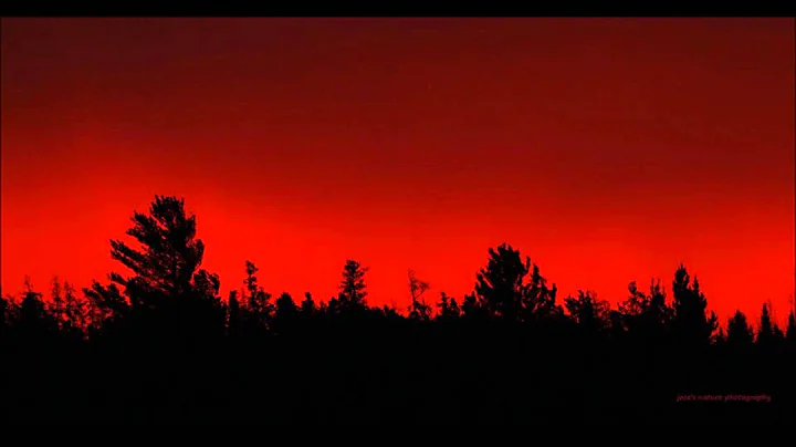 35 Minutes Of Relaxing Classical/Acoust...  Guitar...