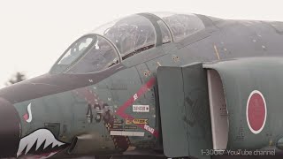 Beware of cavity [ 501sq Green forest shark ]・JASDF RF-4EJ Phantoms - ASMR